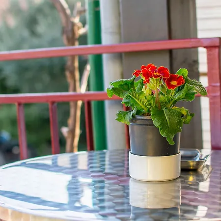 Pettener - Great Location * Медулин